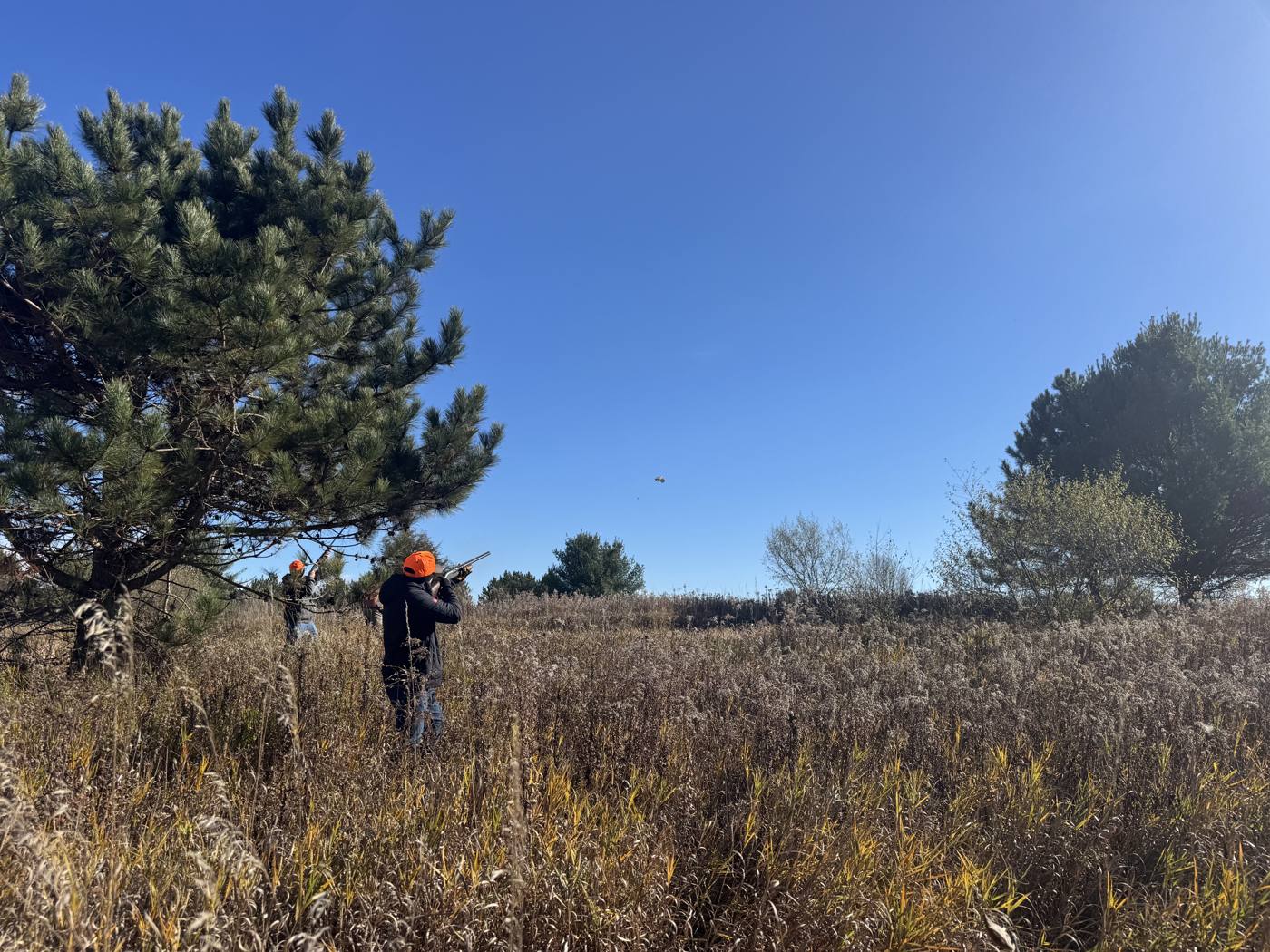Pheasant hunt